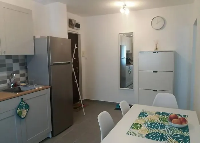 Apartment Cosy At 100 M From Iulius Town Timisoara